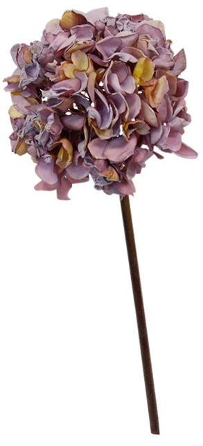 Dried-Look Hydrangea Lavender.jpg Flower - Hydrangea Dried Look Lavender