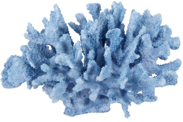 Coral - Faux Blue