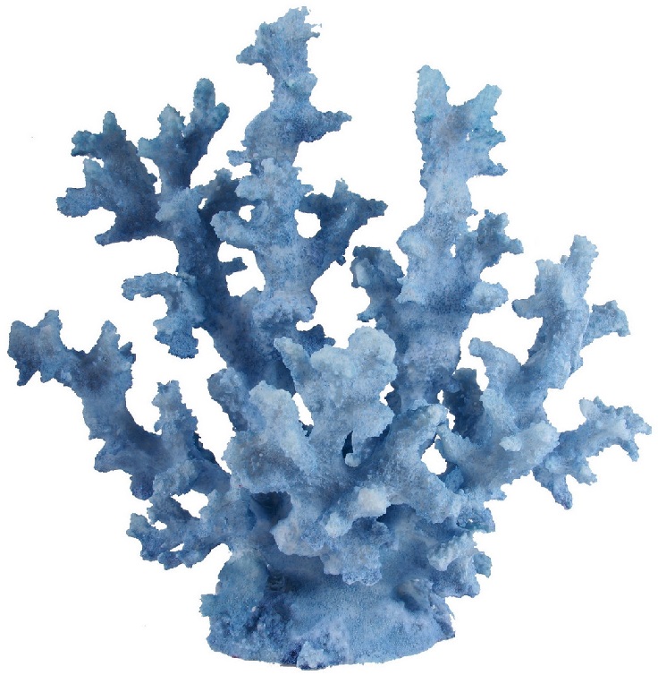 Coral - Faux Blue Tall.jpg Coral - Faux Blue Tall