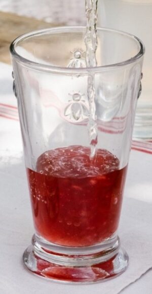 Glass Bee Tumbler Tall Clear